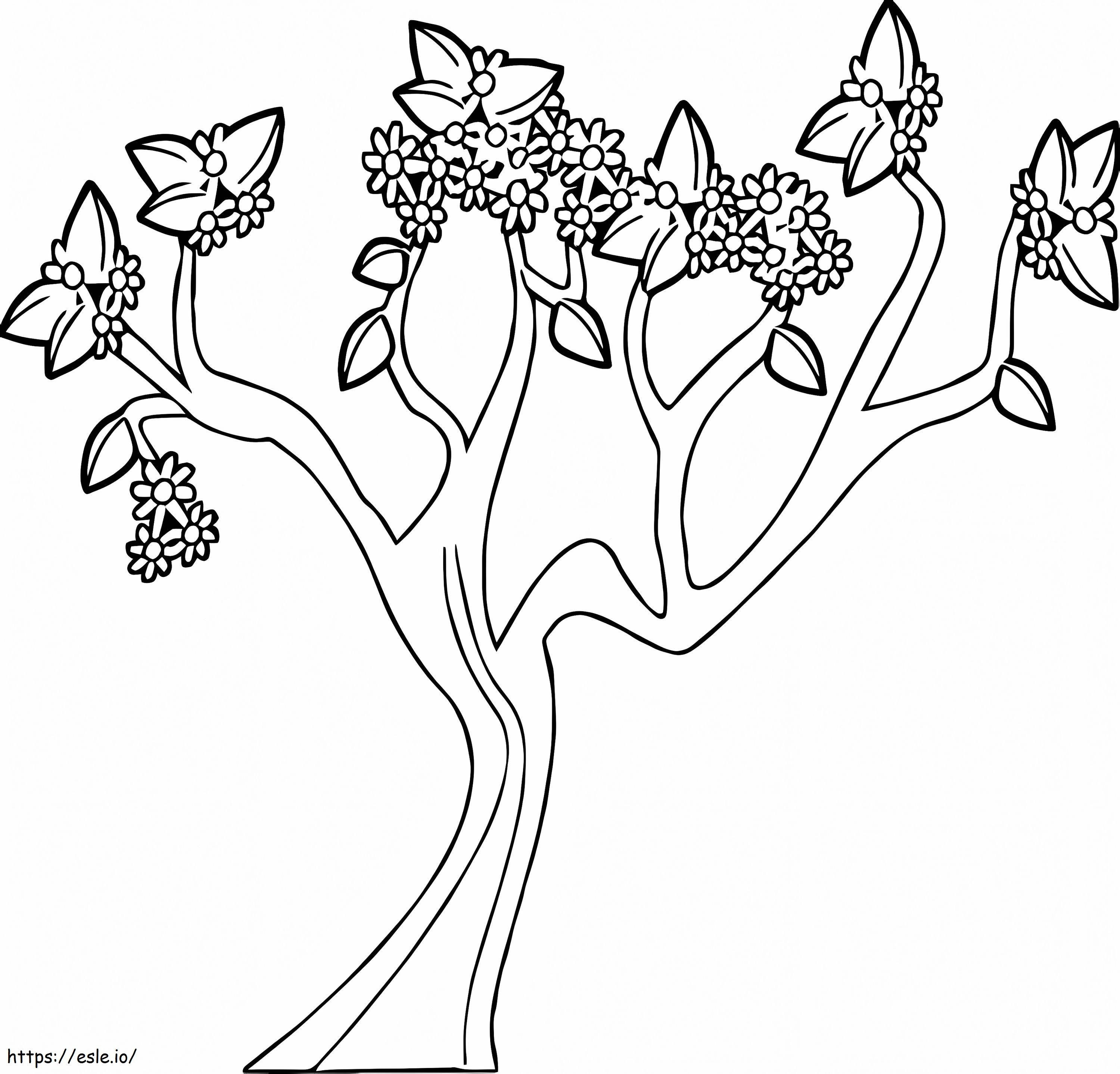 Spring Tree 1 coloring page