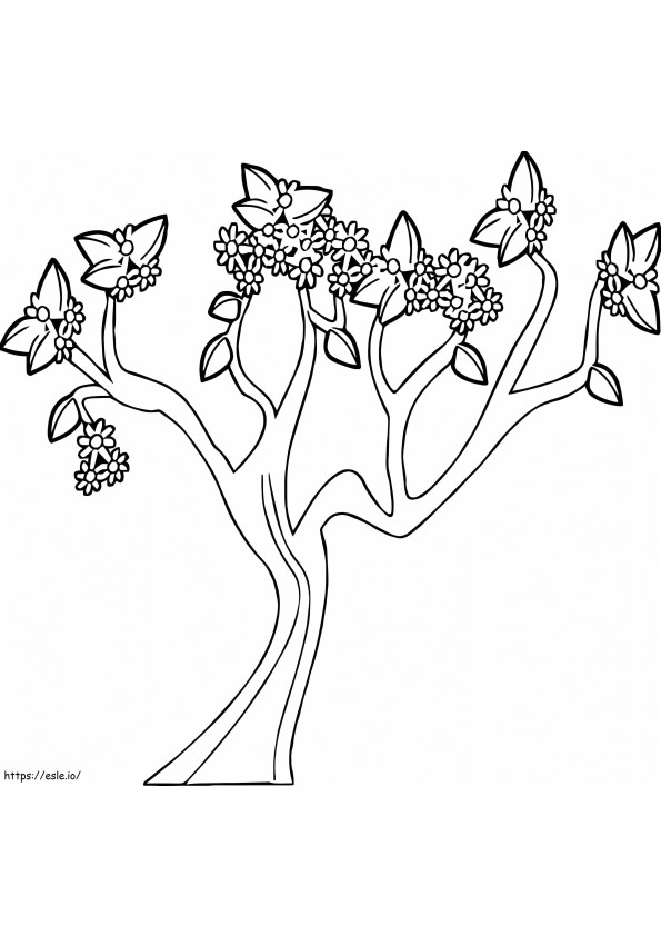 Spring Tree 1 coloring page