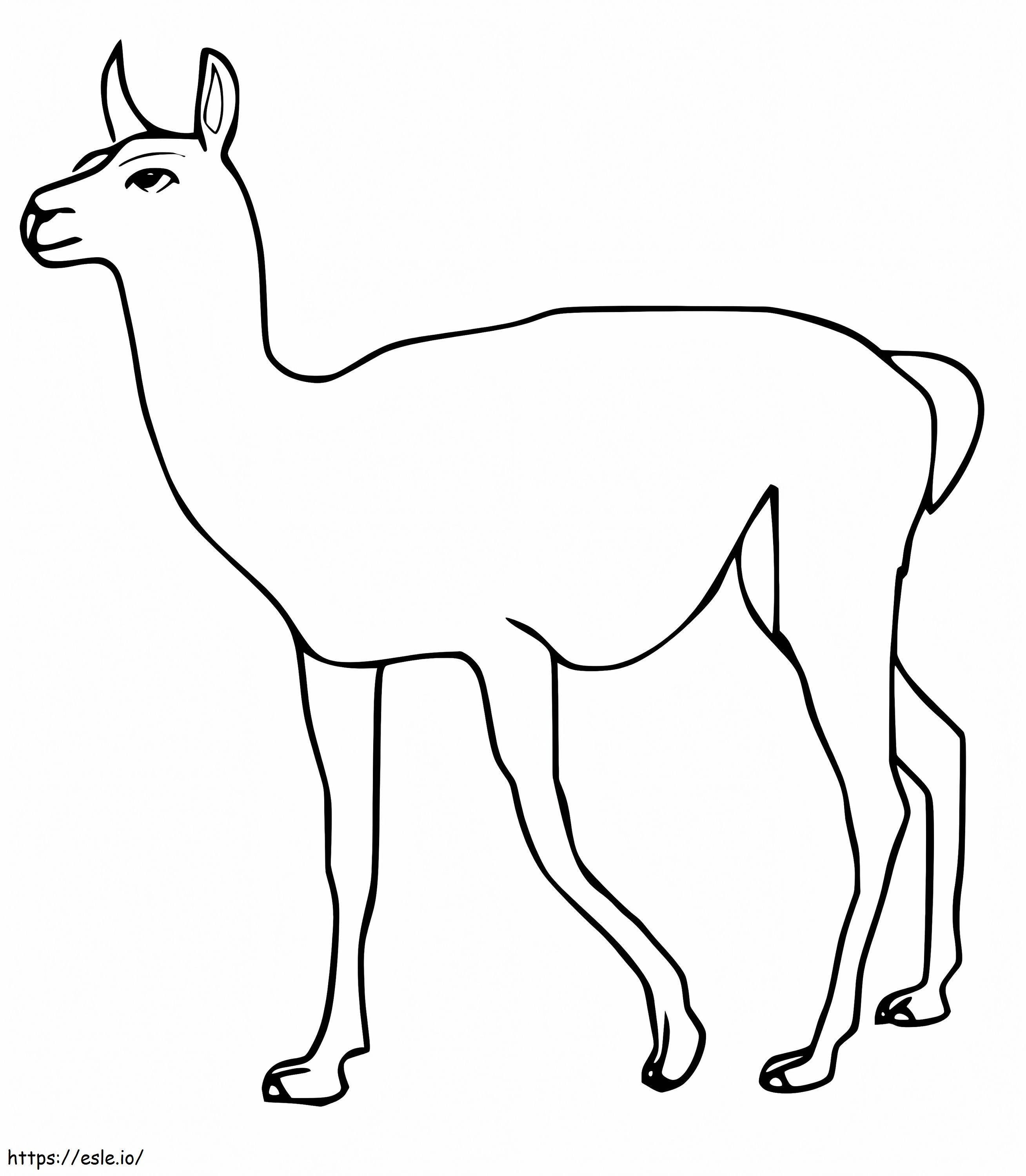 Free Guanaco coloring page