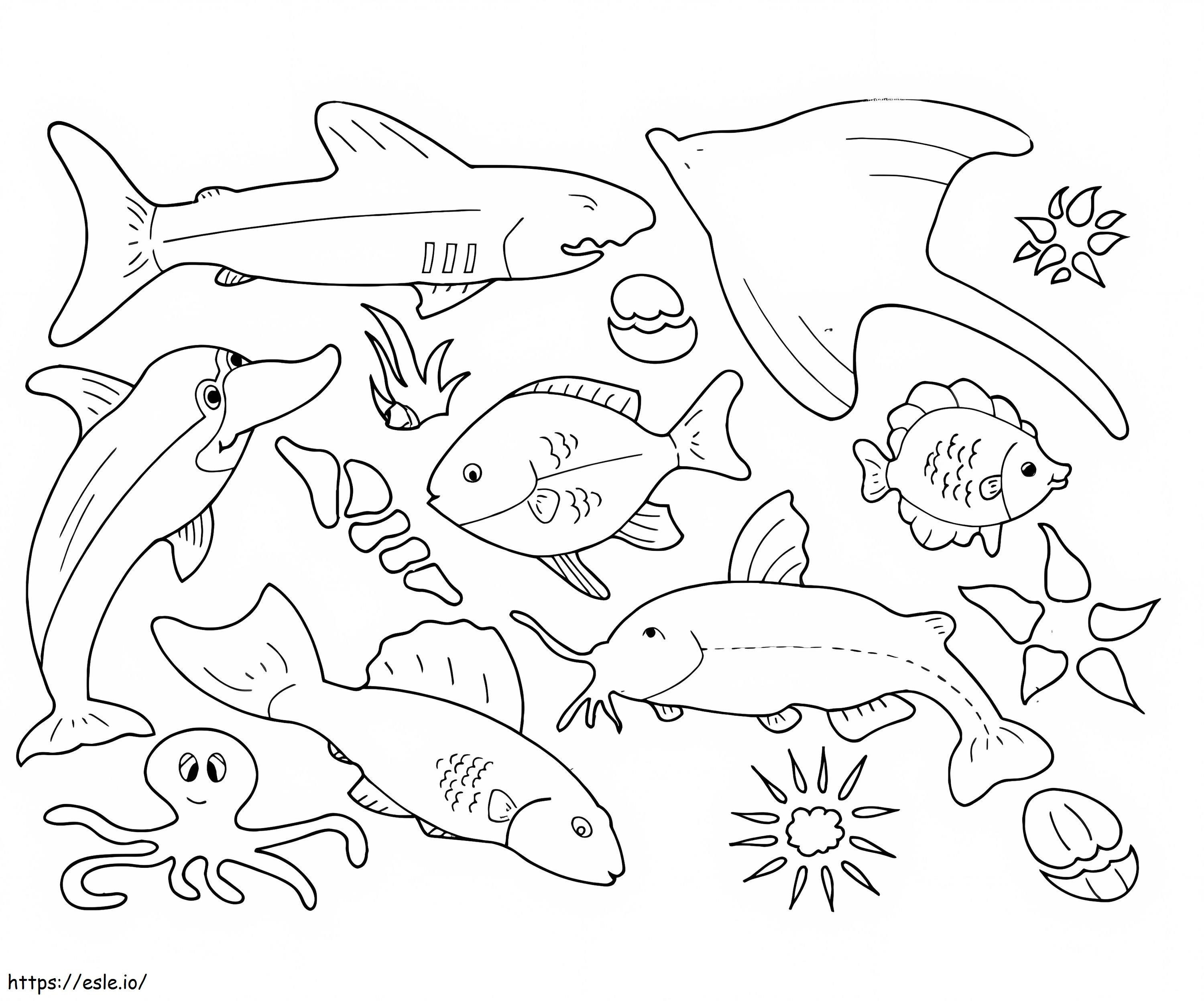 Large Marine Animals coloring page