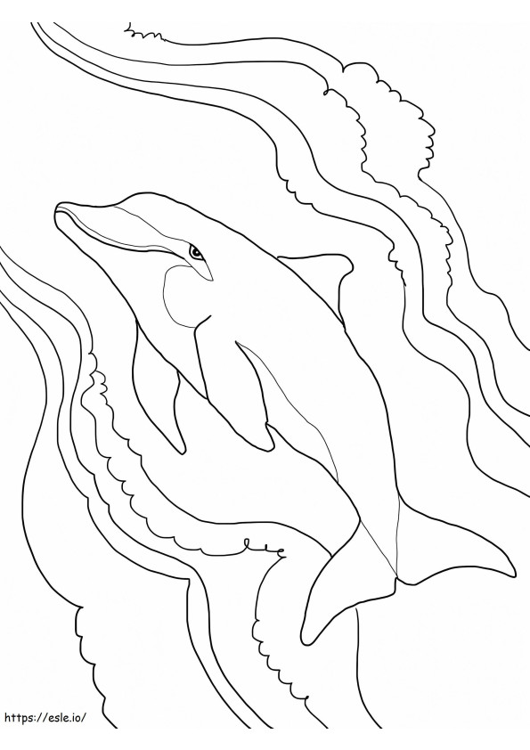 印刷可能なハンドウイルカ ぬりえ - 塗り絵