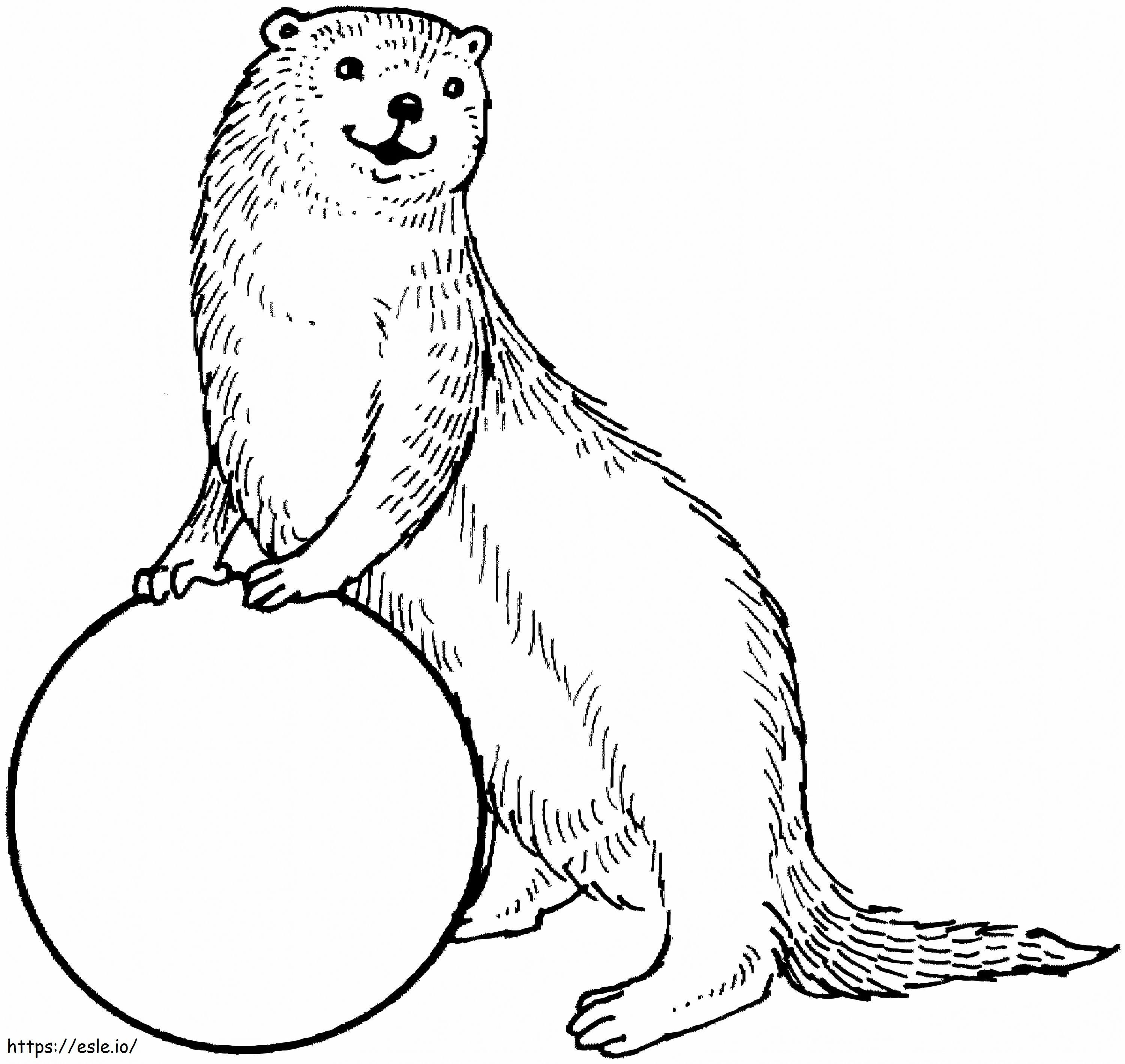 Otter Met Bal kleurplaat kleurplaat