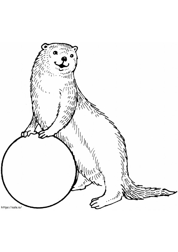 Otter Met Bal kleurplaat