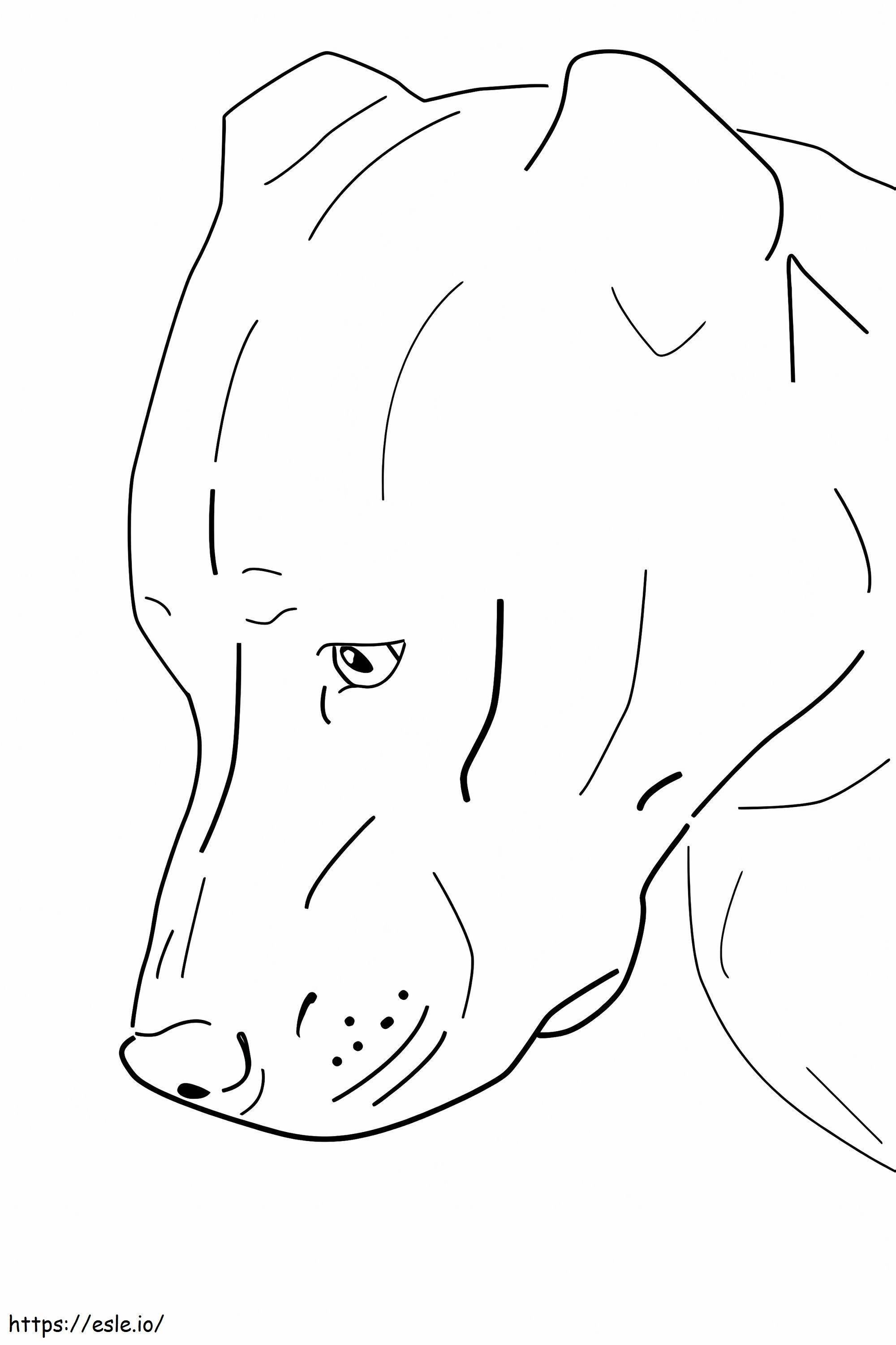 Een Pitbull-hond kleurplaat kleurplaat