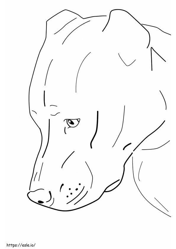 Coloriage Un chien Pitbull à imprimer dessin