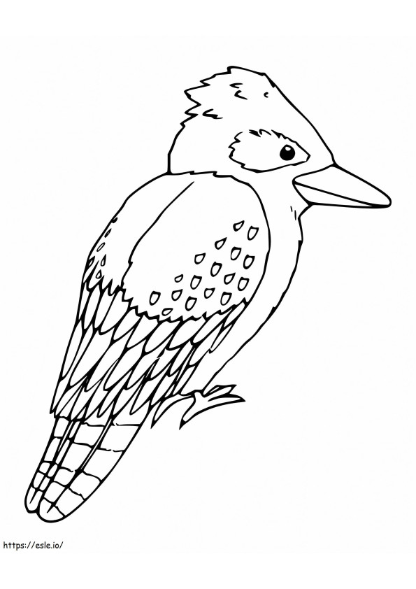 Adorable Kookaburra coloring page