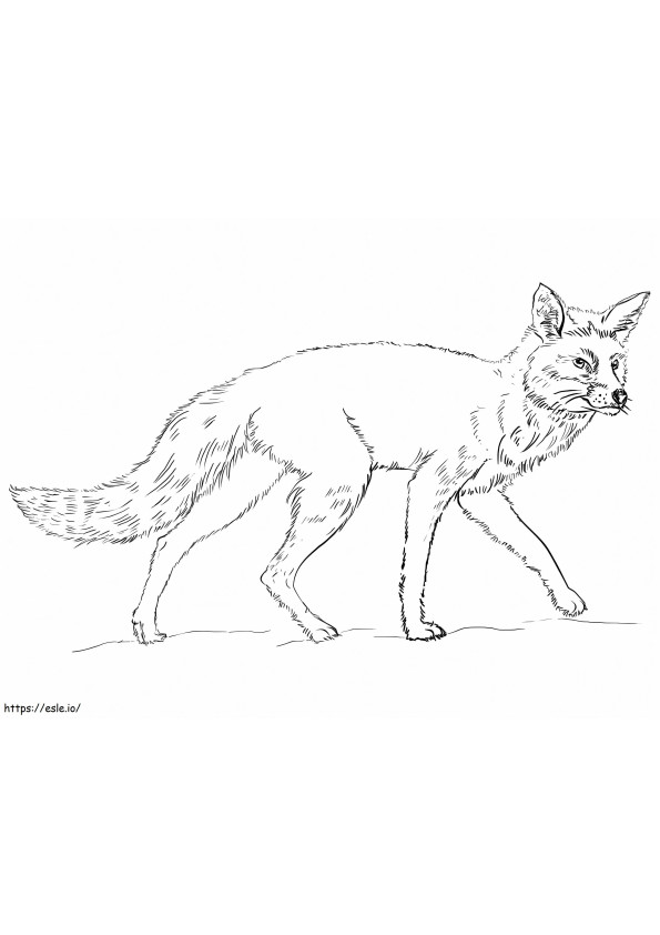 Realistic Red Fox coloring page