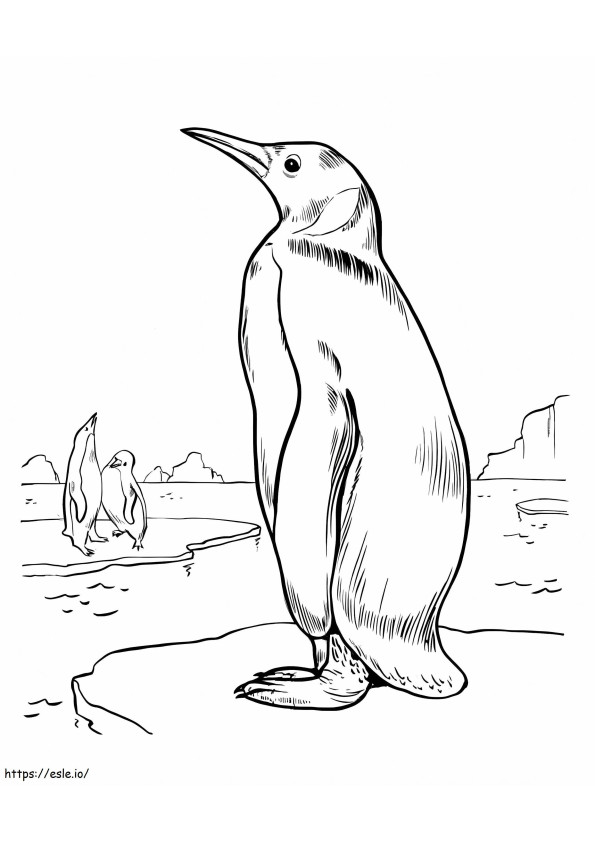 Pinguin bun de colorat