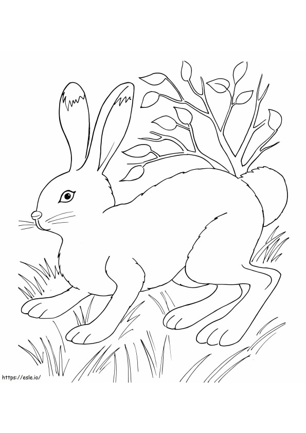 Conejo en la hierba para colorear