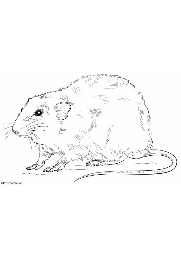 Gerçekçi Sıçan boyama