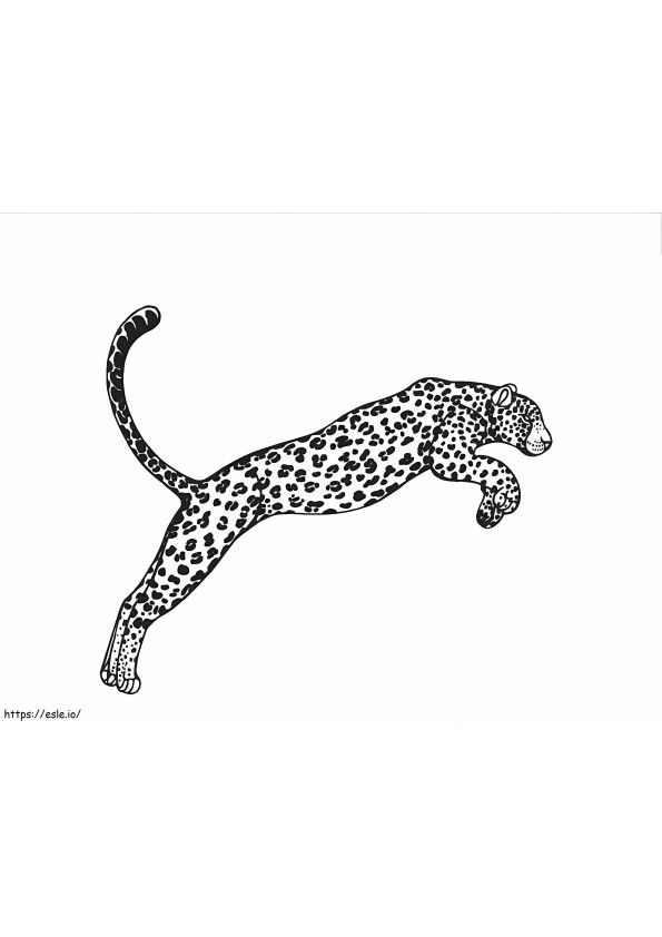 Salto Leopardo para colorir