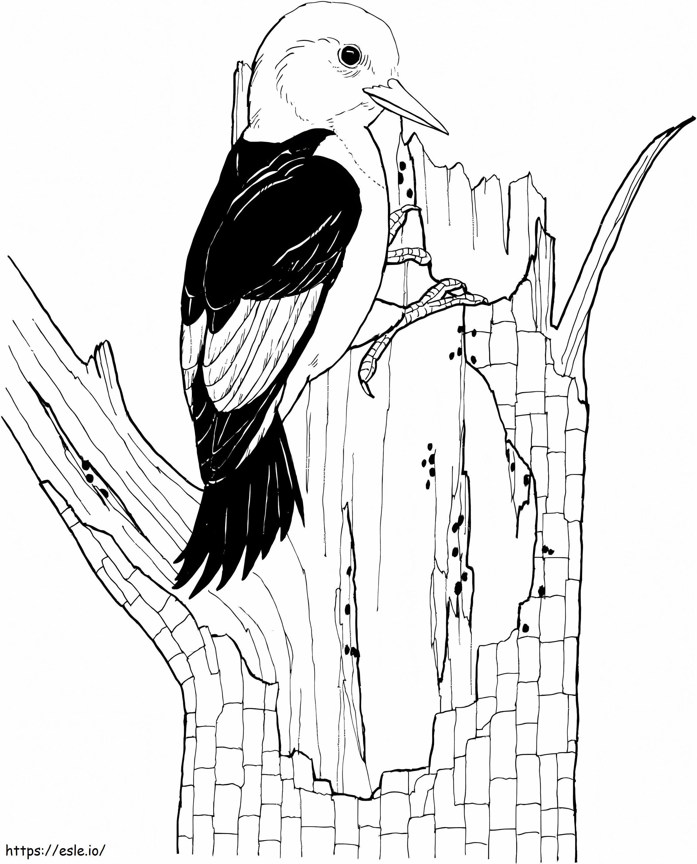 Awesome Woodpeckers coloring page