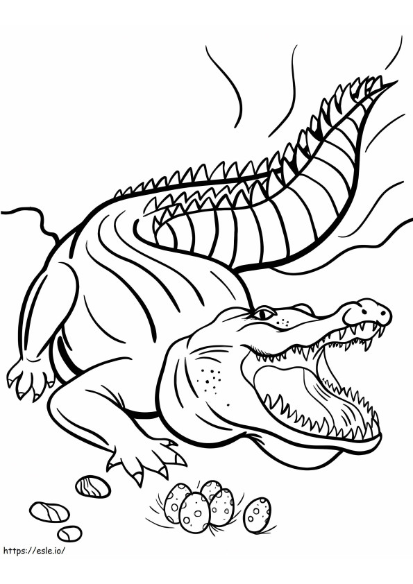 Crocodile With Eggs coloring page