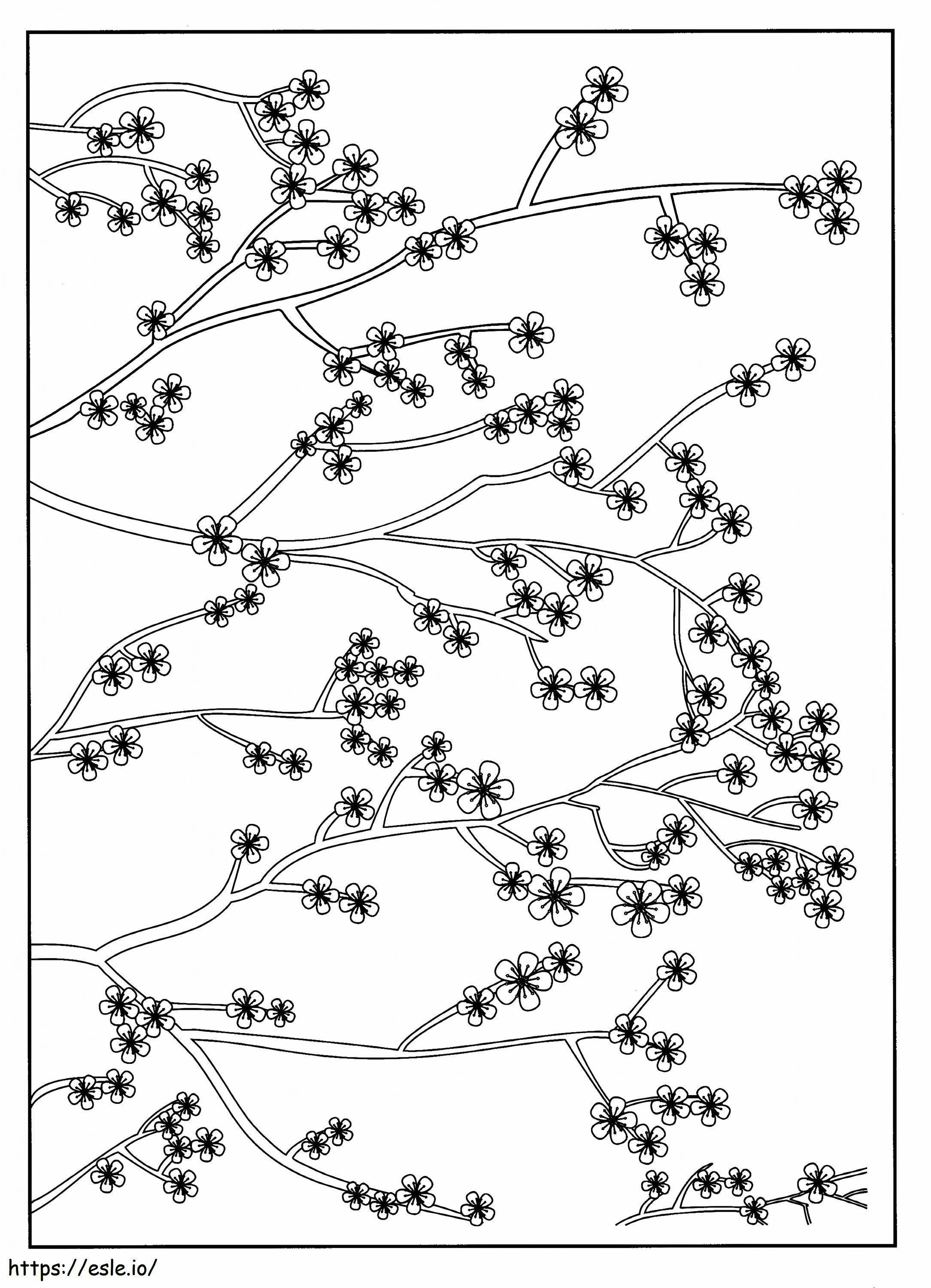 Coloriage Fleur de cerisier pour adultes à l'échelle à imprimer dessin