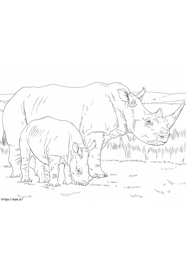 Mãe e bebê rinoceronte branco para colorir