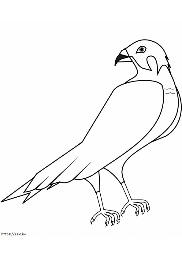Hawk 2 coloring page