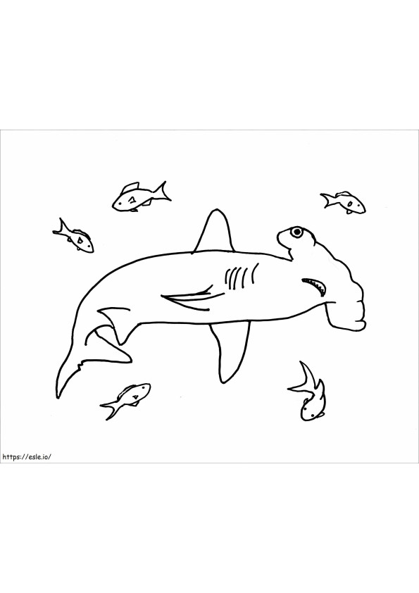 Coloriage Requin marteau avec poisson écaillé à imprimer dessin