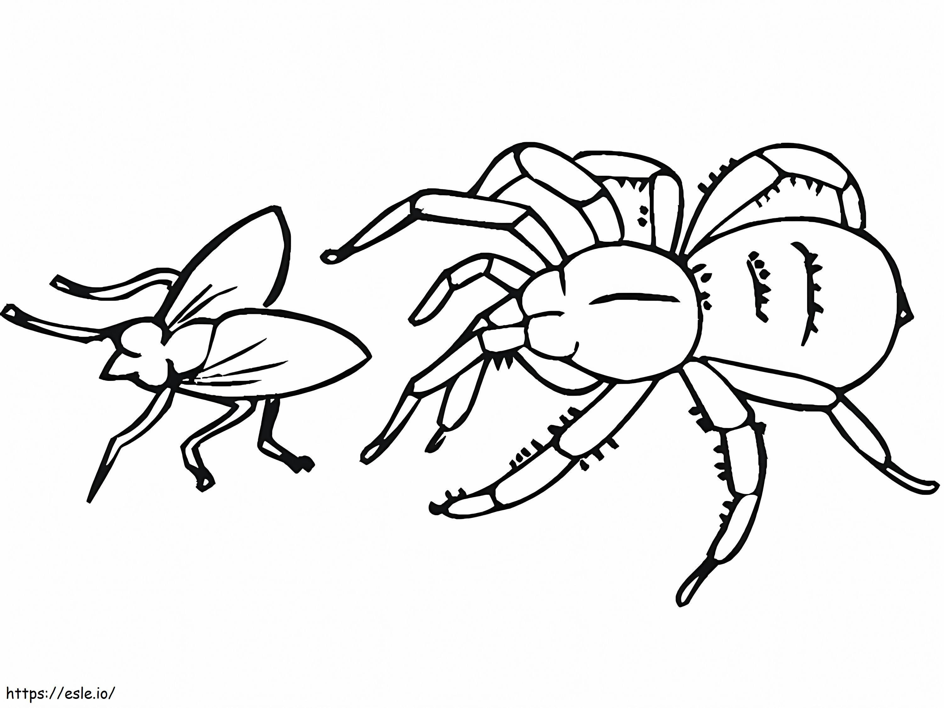 Coloriage Araignée attrapant une mouche à imprimer dessin