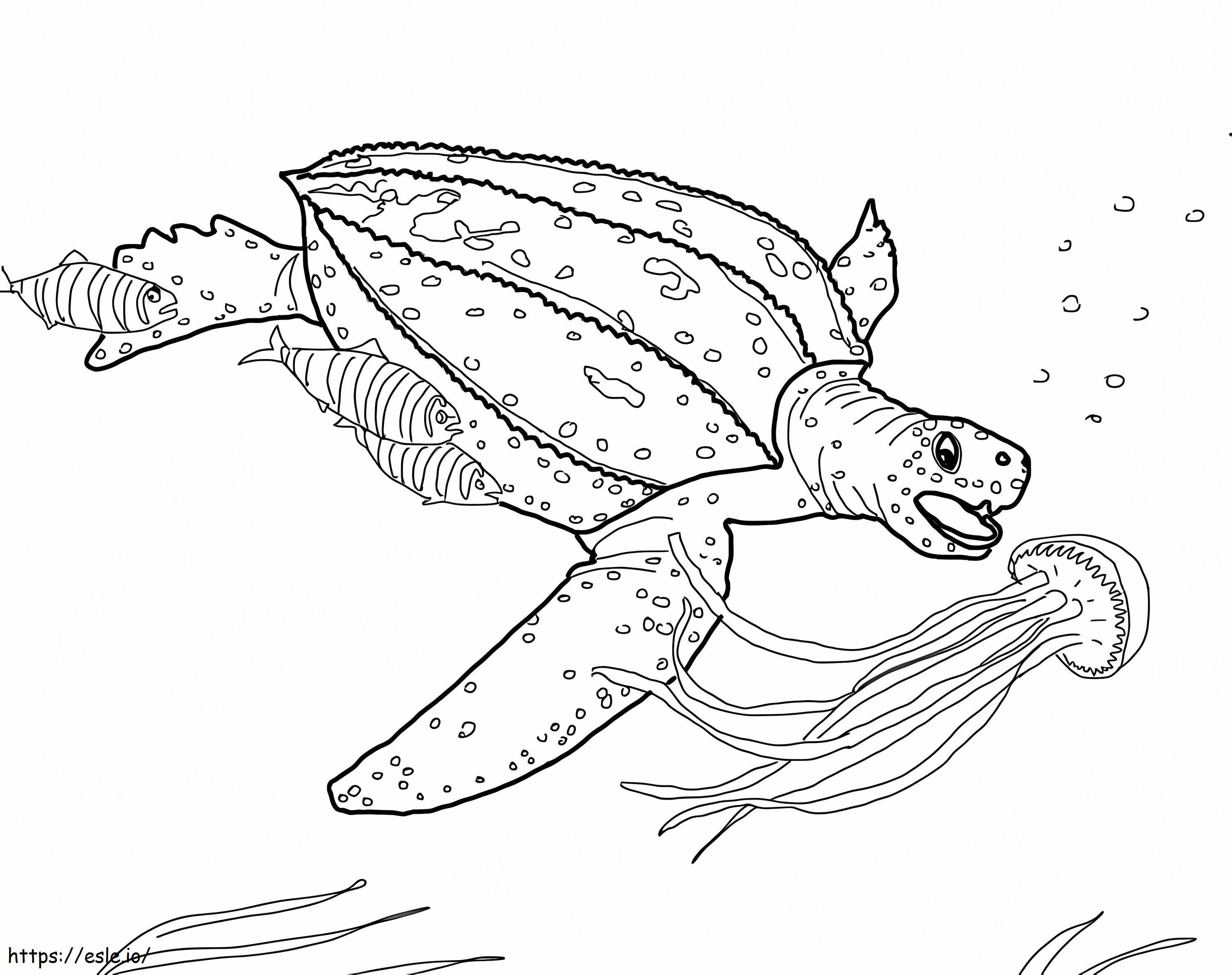 Tartaruga marinha de couro para colorir