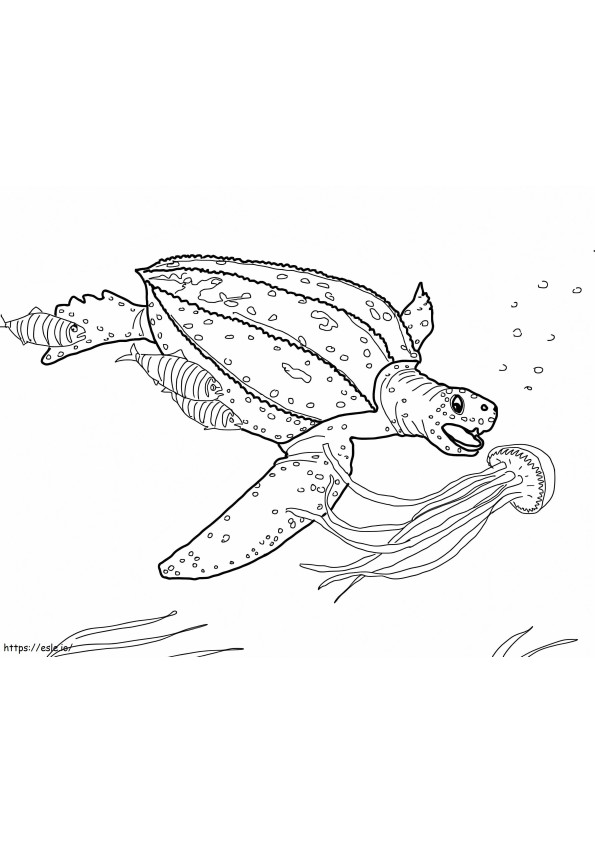 Tartaruga marina dal dorso di cuoio da colorare