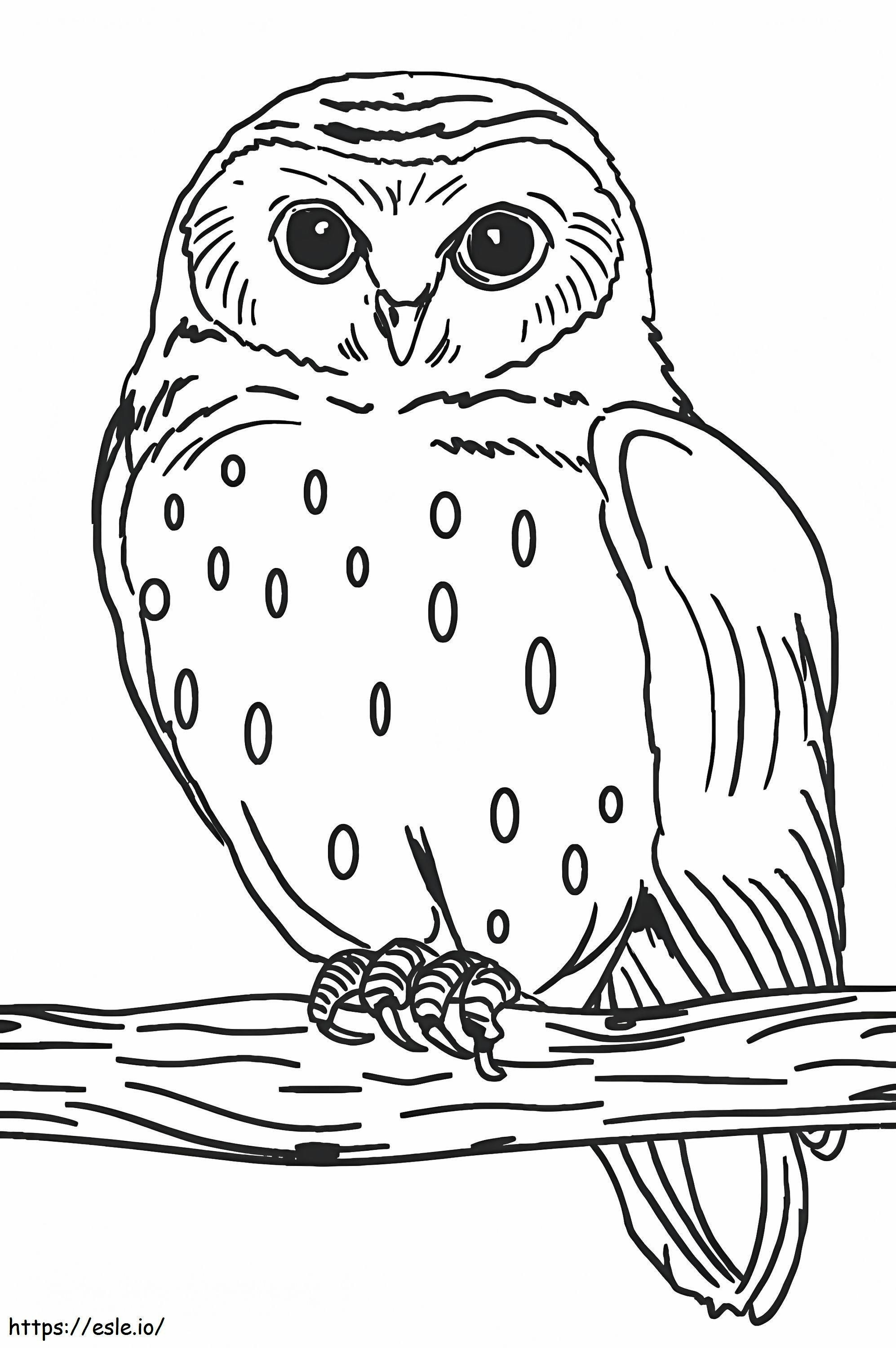 Good Owl coloring page