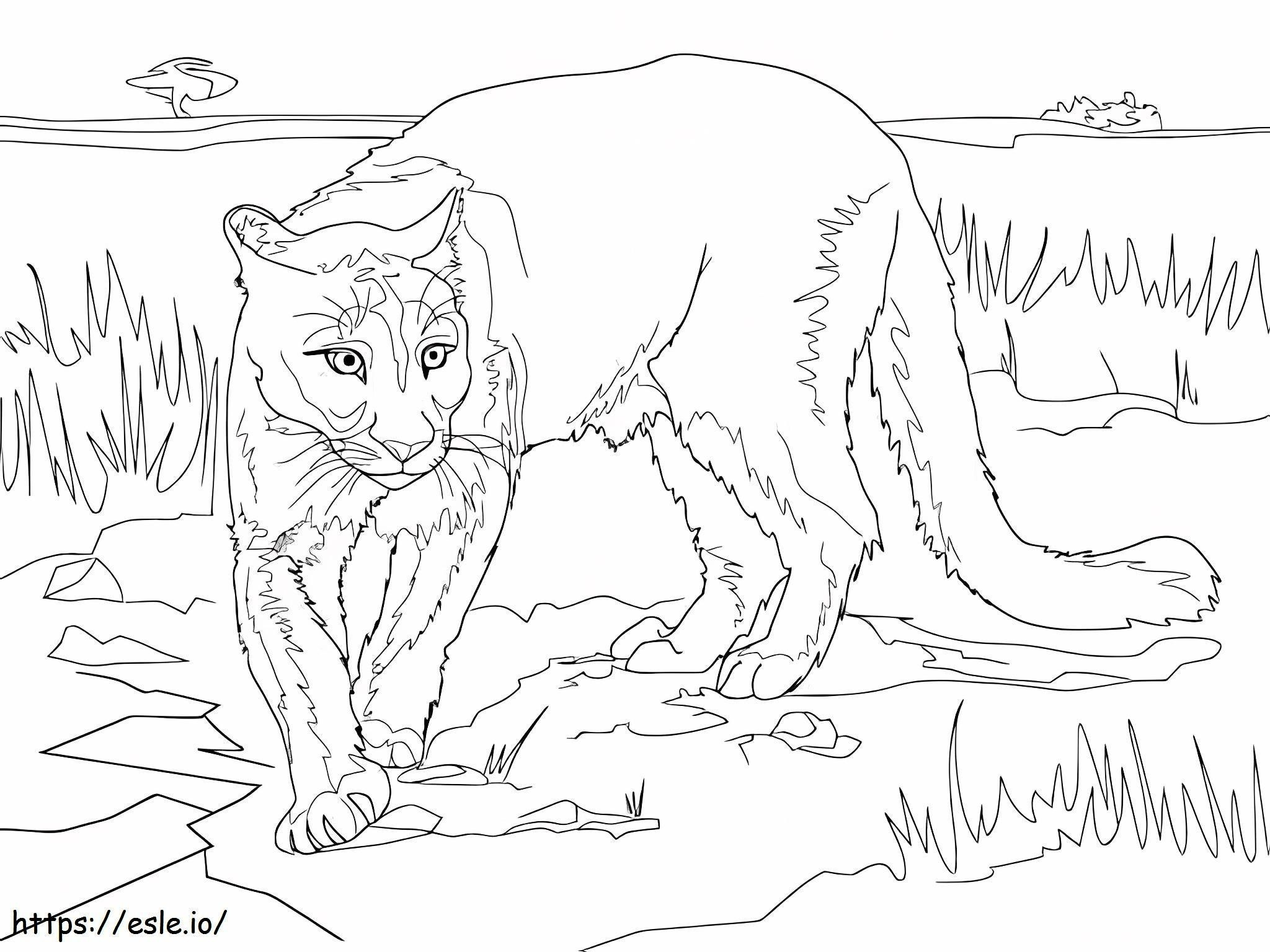Awesome Puma coloring page