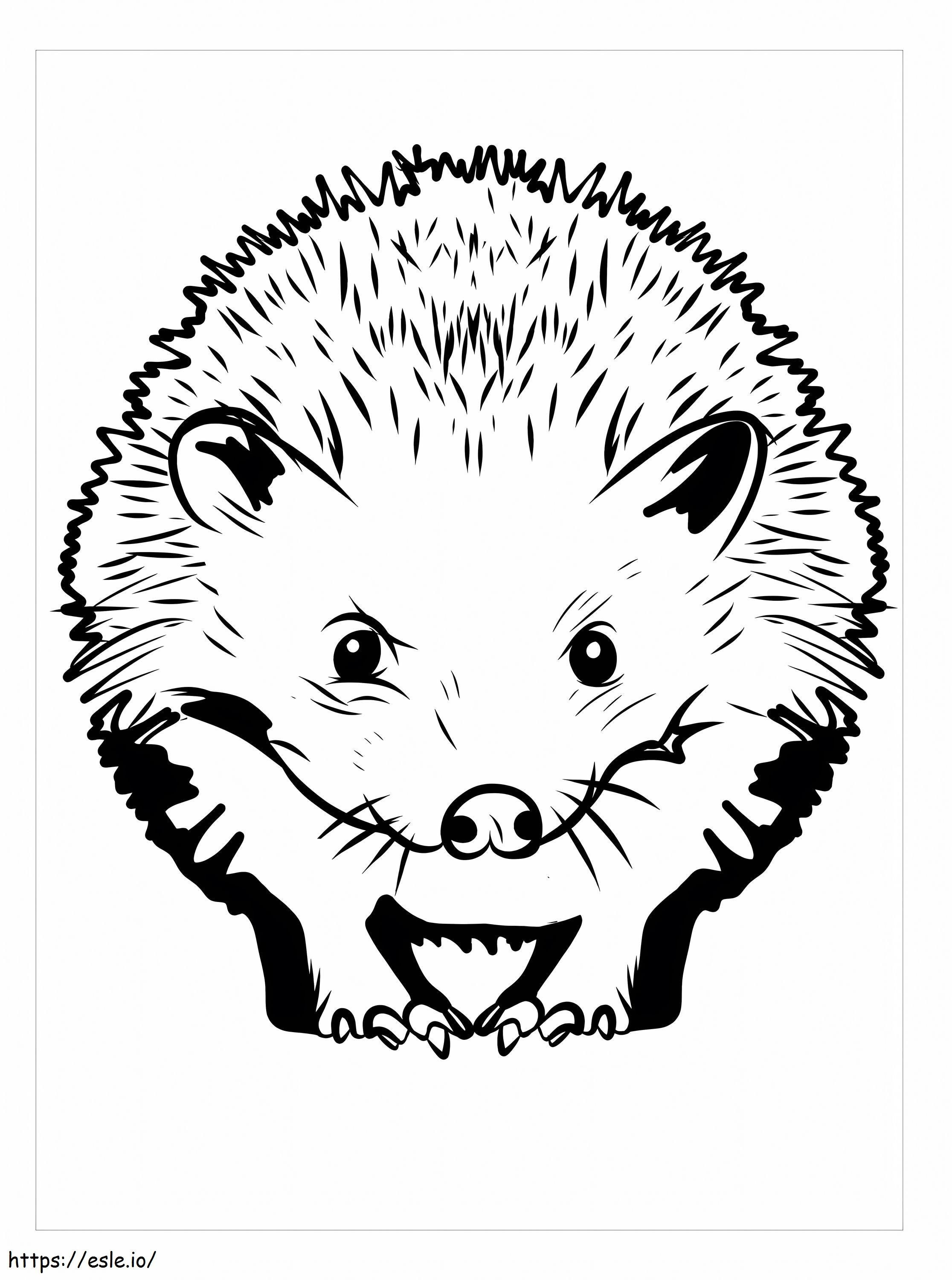 Realistic Hedgehog coloring page