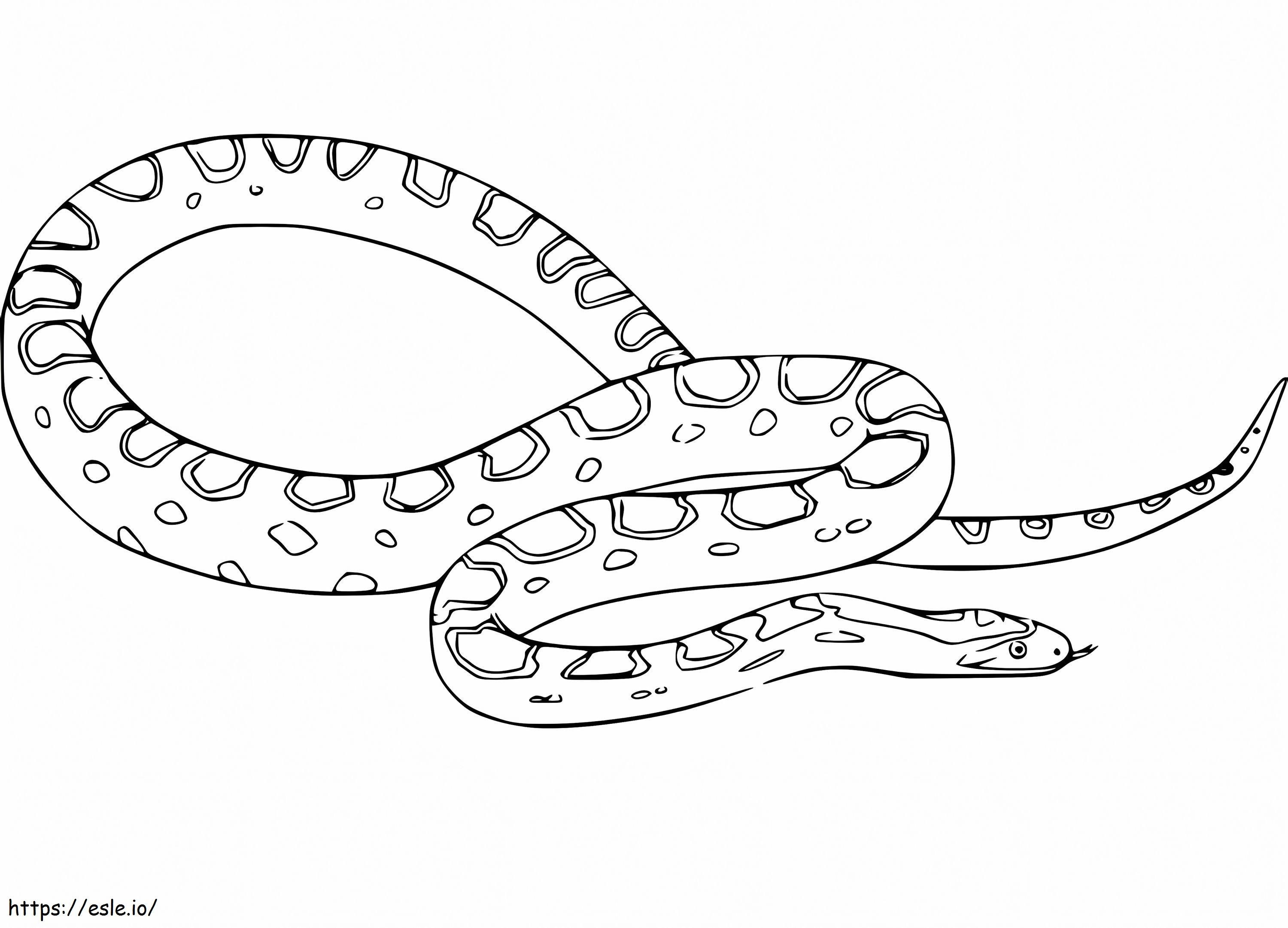 Anaconda libera da colorare