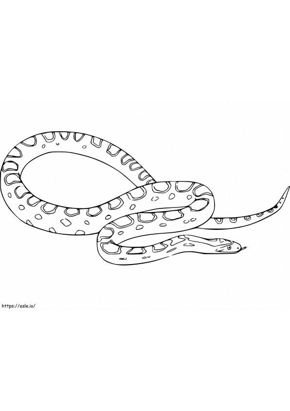 Anaconda grátis para colorir