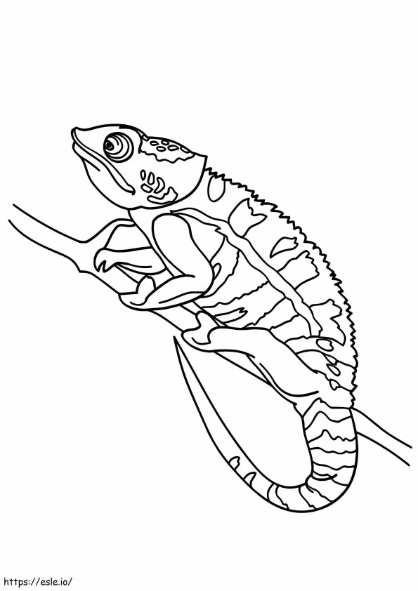 Pleasant Chameleon coloring page