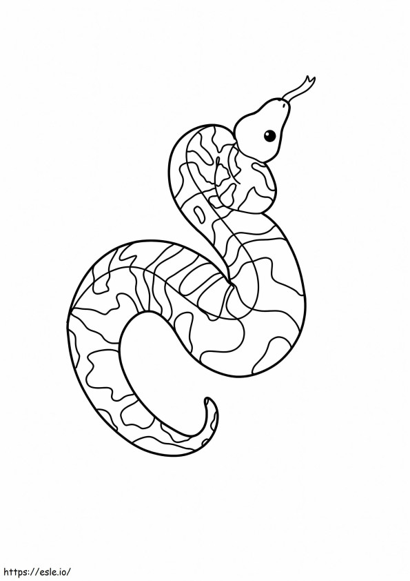 Coloriage Pythons boules à imprimer dessin