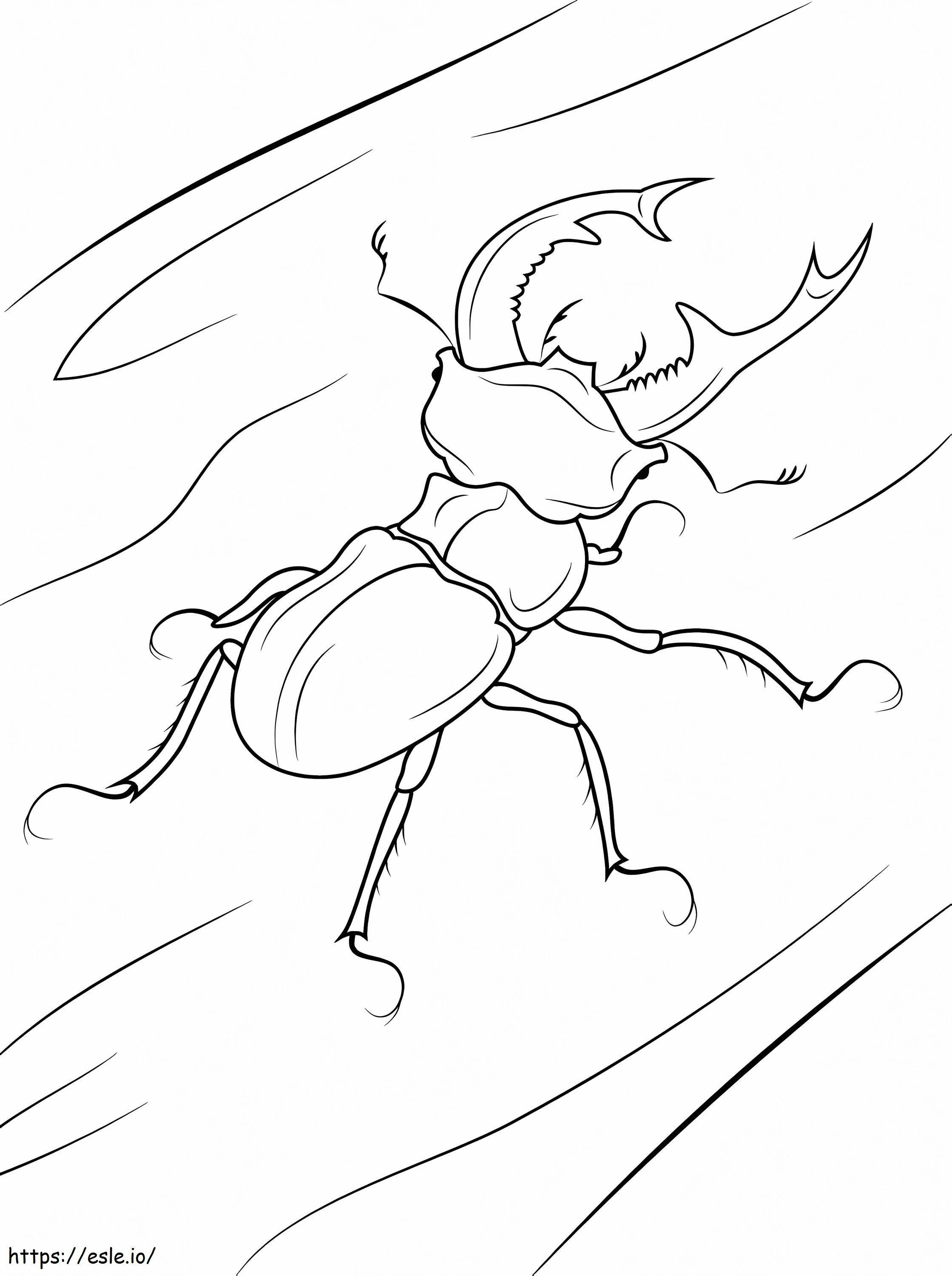 Kumbang Rusa Gambar Mewarnai