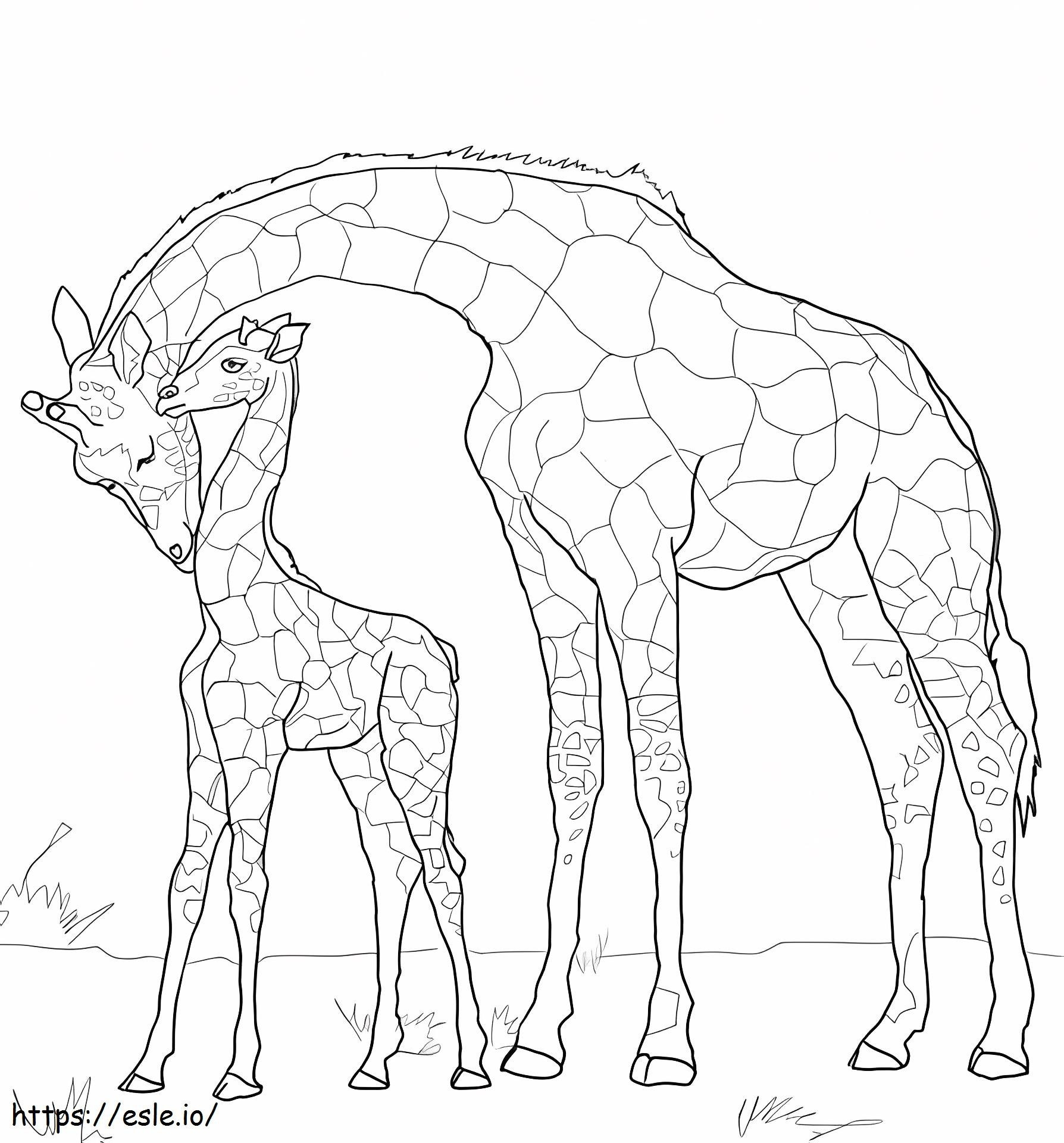 1529034909 Puți Girafă Și Mamă de colorat