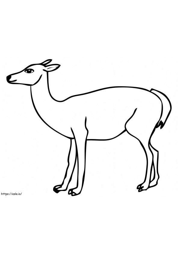 South American Guanaco coloring page