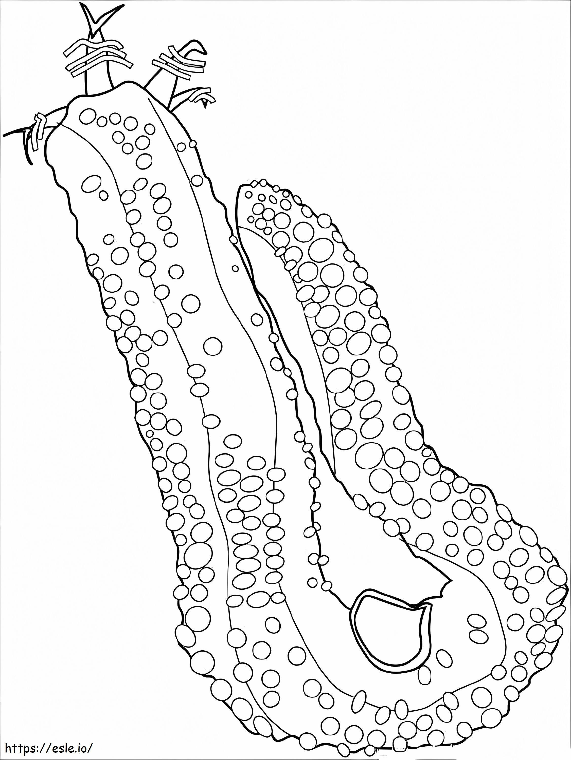 Free Sea Cucumber coloring page
