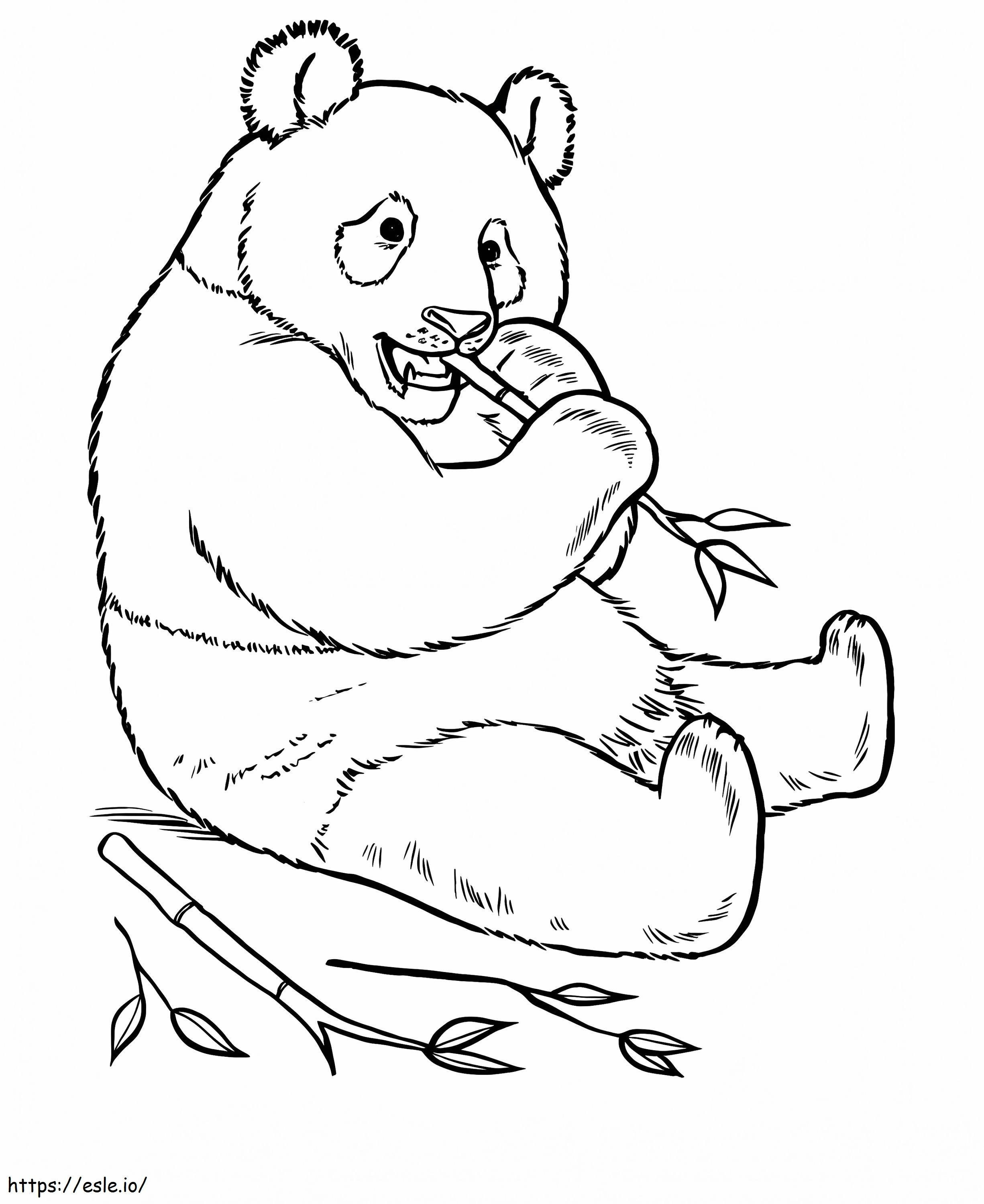 Panda comiendo bambú para colorear