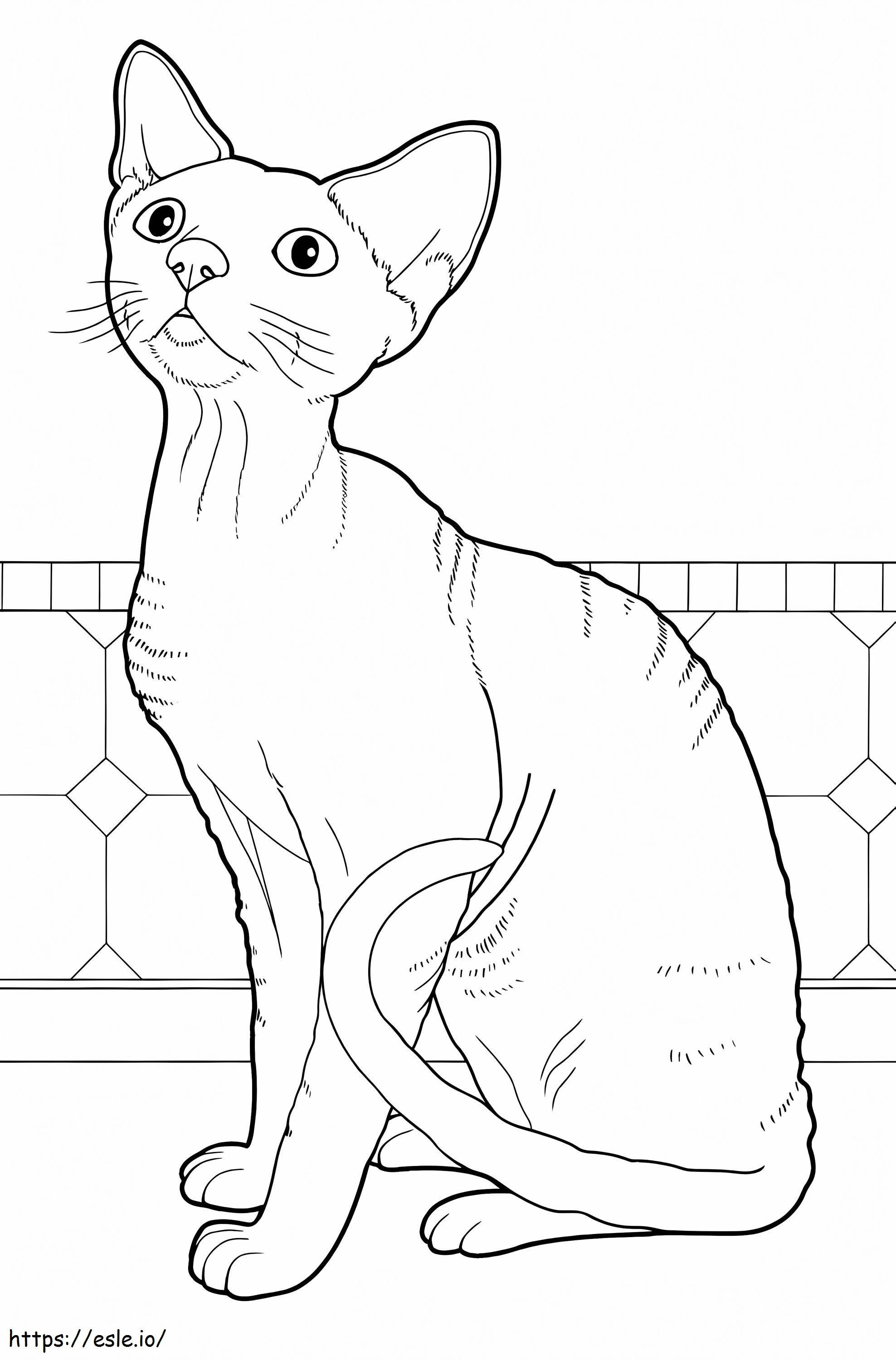 Devon Rex-kat kleurplaat kleurplaat