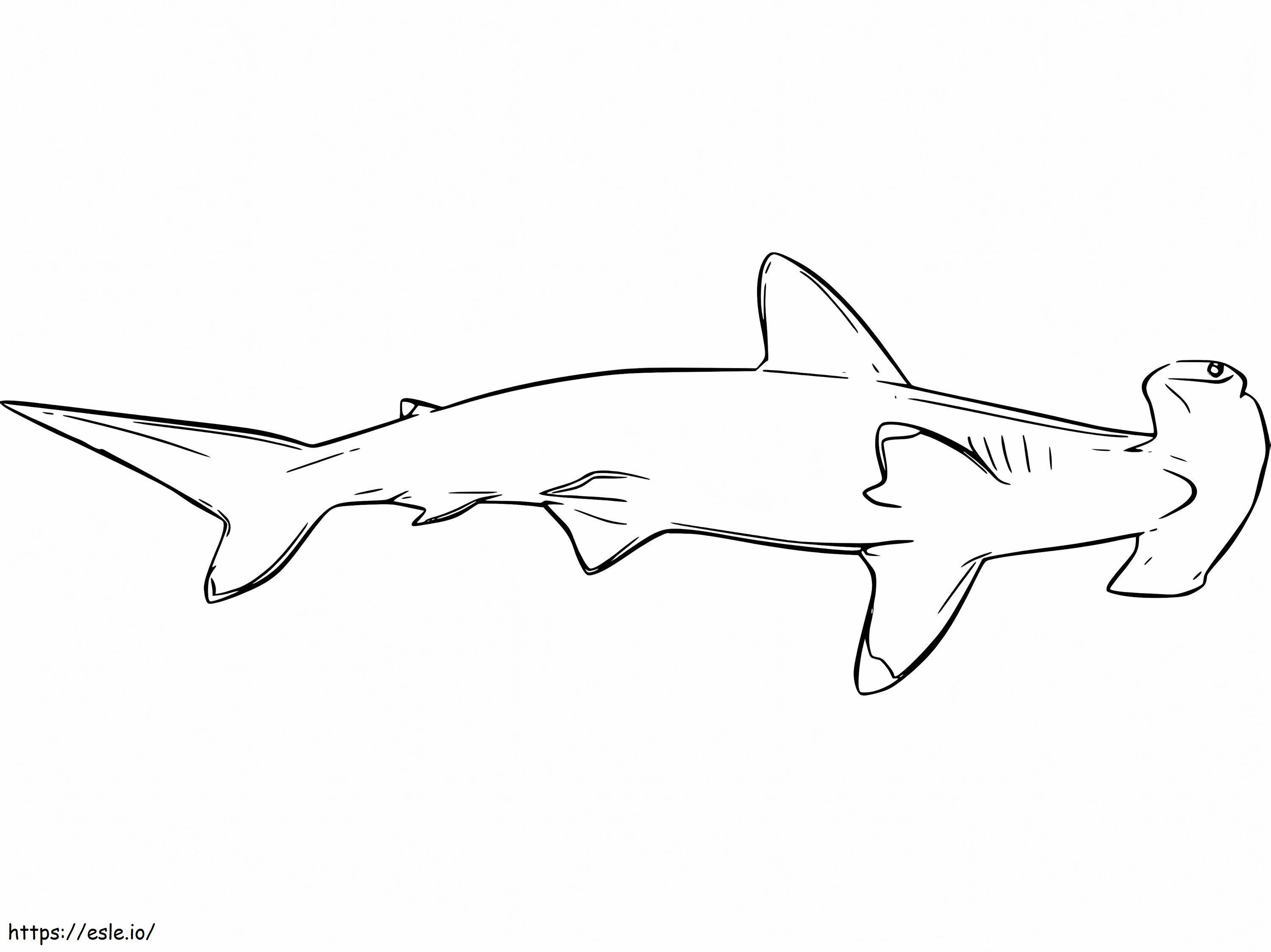 Tubarão-martelo 6 para colorir