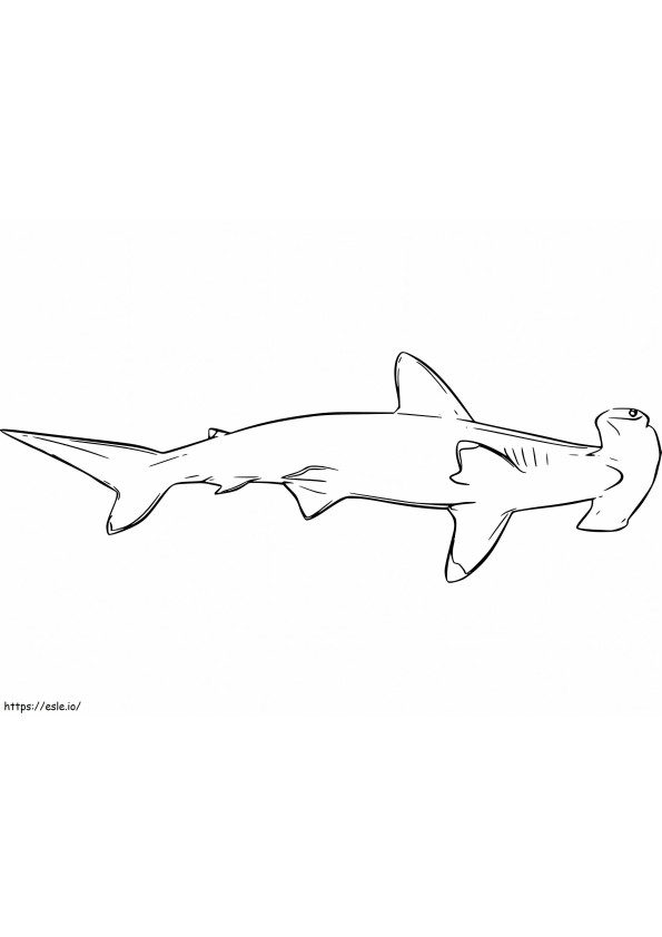 Coloriage Requin marteau 6 à imprimer dessin