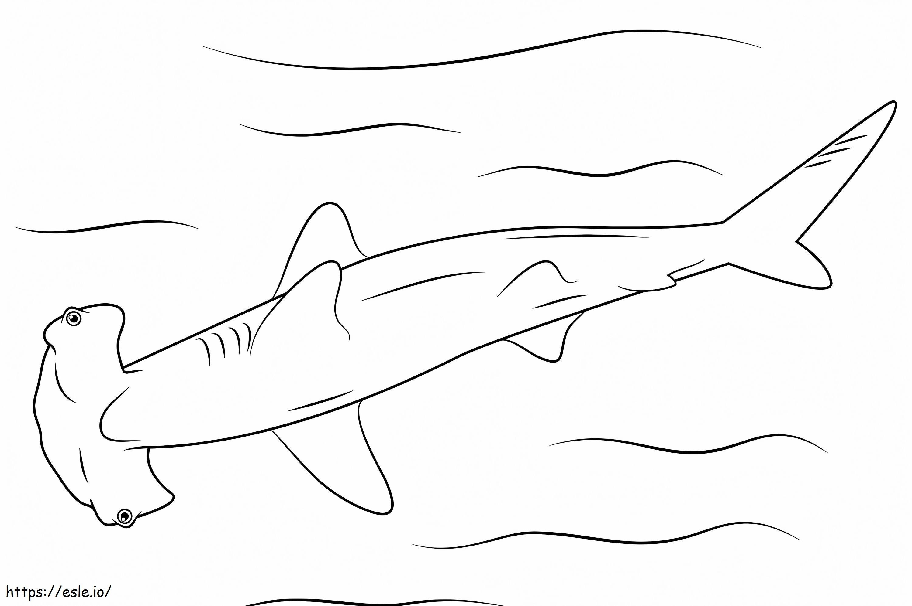 Tubarão-martelo fácil para colorir