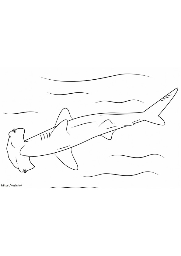 Kolay Çekiç Kafalı Köpekbalığı boyama