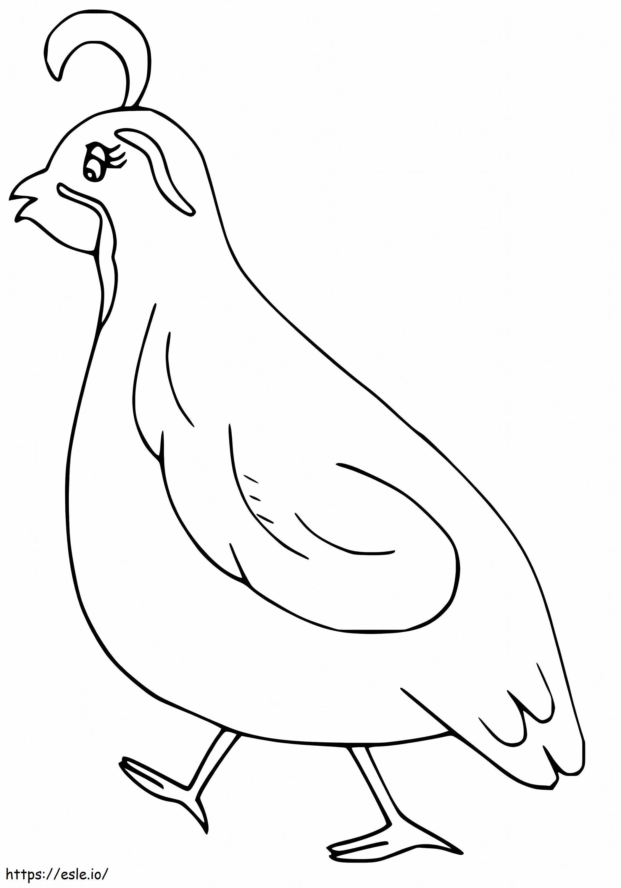 Lovely Quail coloring page