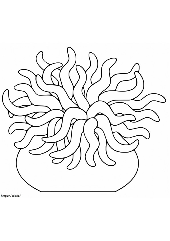 Easy Sea Anemone coloring page