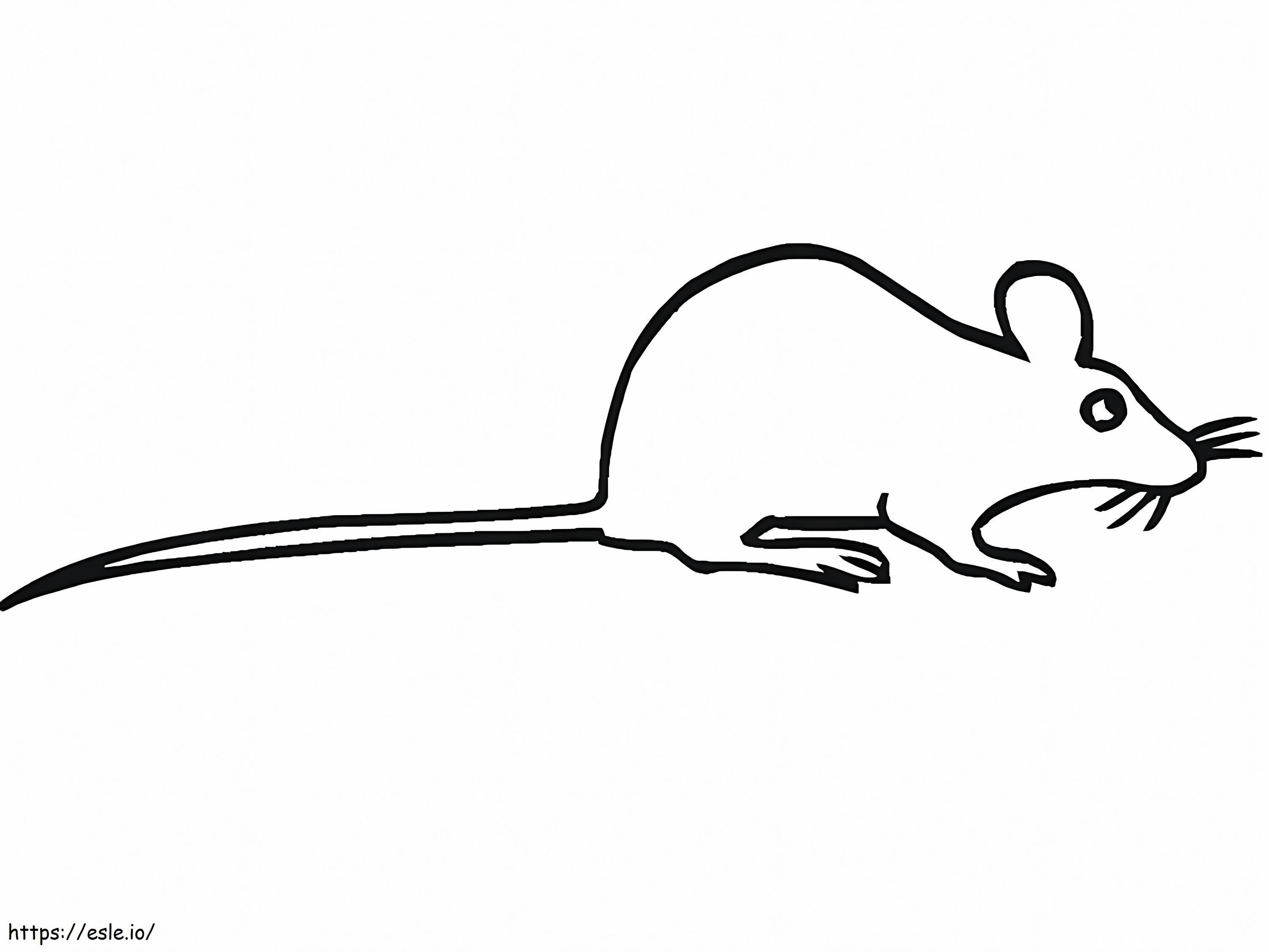 Coloriage Rat très simple à imprimer dessin