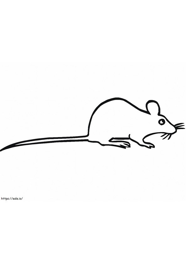 Coloriage Rat très simple à imprimer dessin