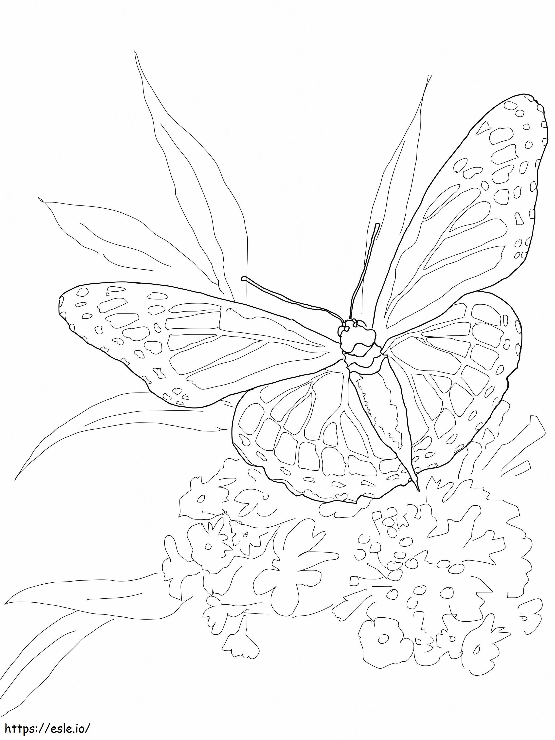 Mariposa Monarca 3 para colorear