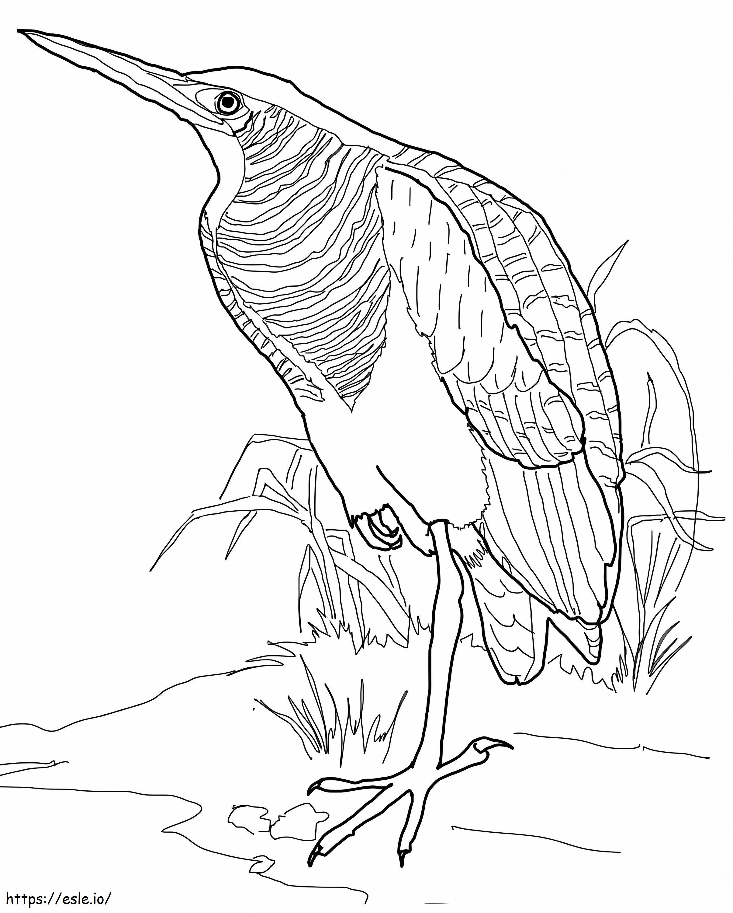 Normal Bitterness coloring page
