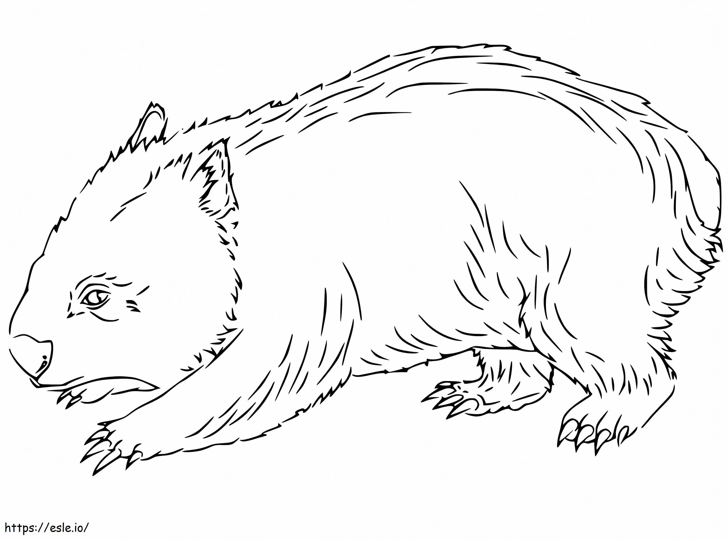 Wombat 1 para colorear