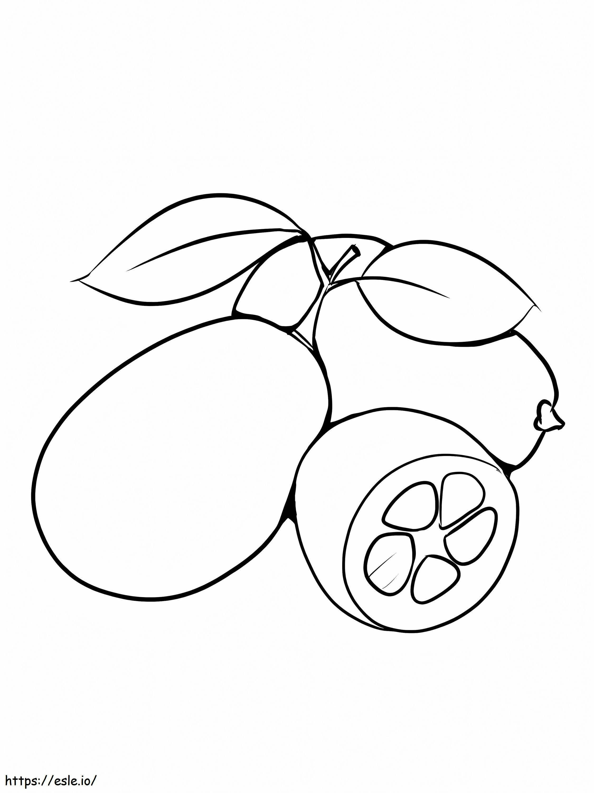 シンプルな金柑 ぬりえ - 塗り絵