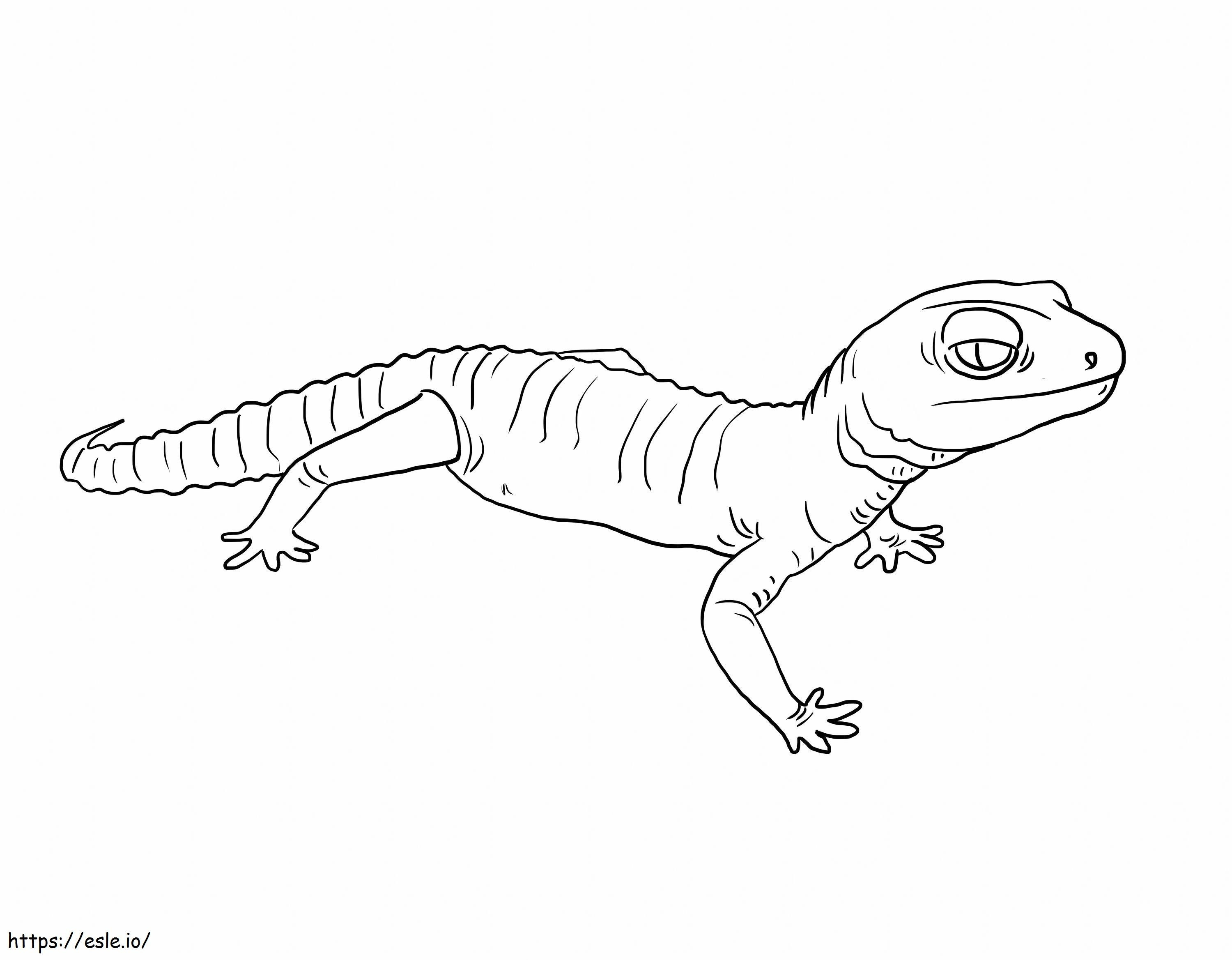 Coloriage Gecko Simple à imprimer dessin